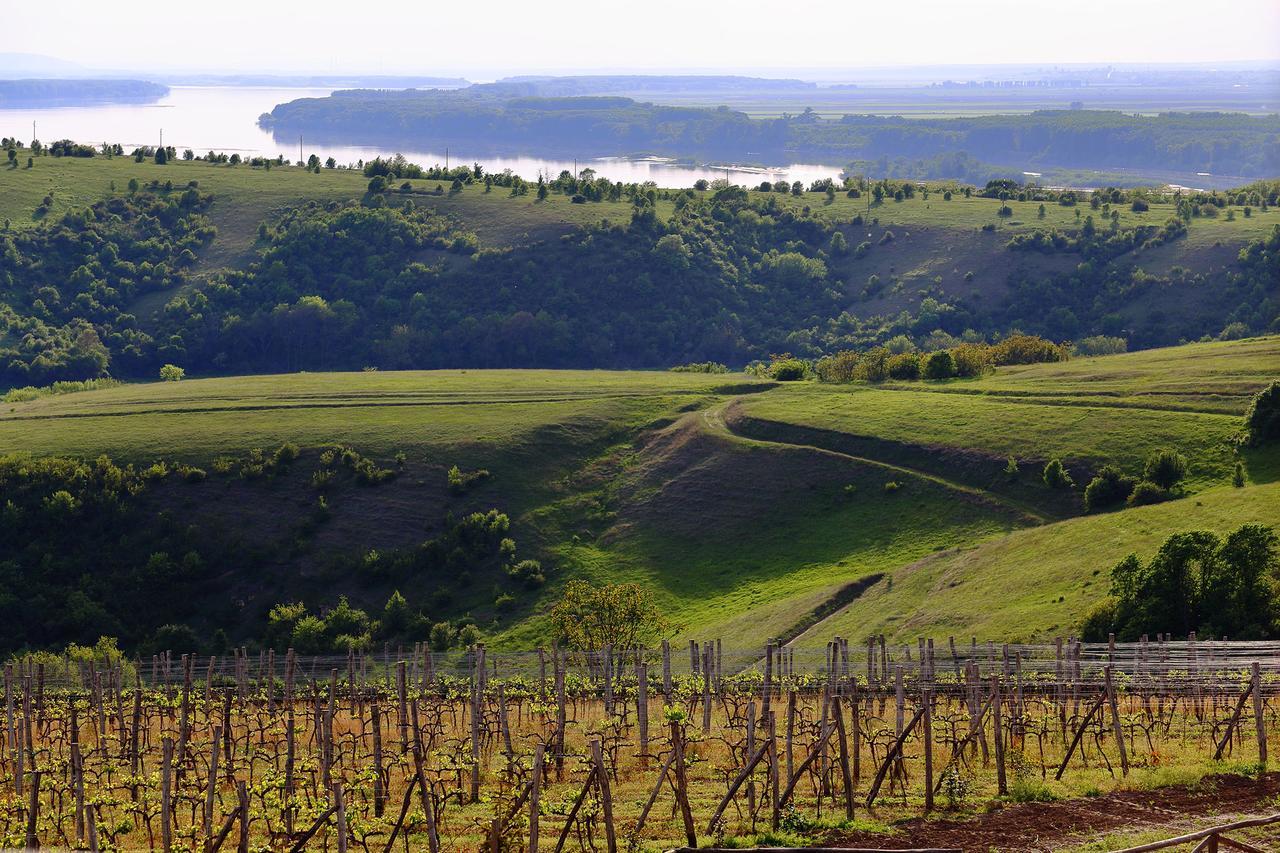 Seven Generations Winery Hotel Mechka Luaran gambar