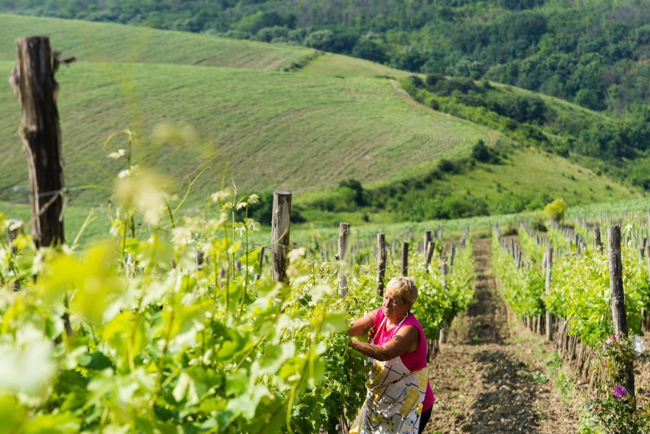 Seven Generations Winery Hotel Mechka Luaran gambar